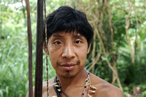 brazil ignores deadline to save earth s most threatened tribe save earth amazon people awa