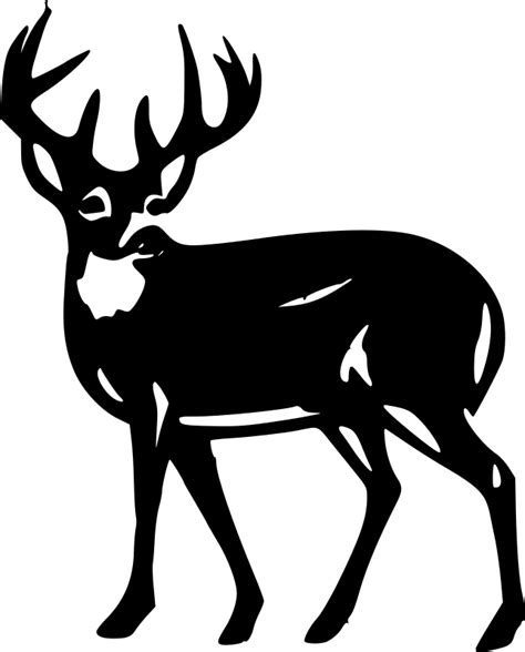 White Deer Silhouette At Getdrawings Free Download
