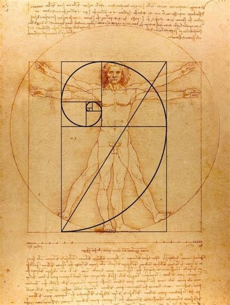 The Golden Ratio And The Fibonacci Sequence Underpin All Good Design
