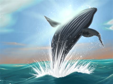 Humpback Whale Jumping Out Of Water By Scorch Art On Deviantart