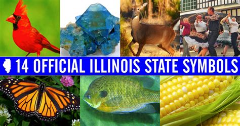 Did You Know These Are The 14 Official State Symbols In Illinois