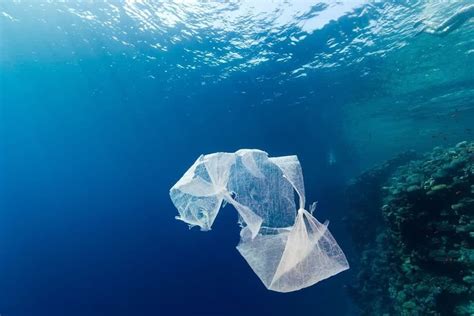 World Environment Day 2023 Beatplasticpollution Plastic Pollution