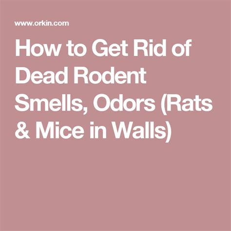 If you think you or someone you know is in a manipulative or even abusive relationship, experts suggest seeking treatment from a therapist or help from organizations like the national domestic violence. How to Get Rid of Dead Rodent Smells, Odors (Rats & Mice ...