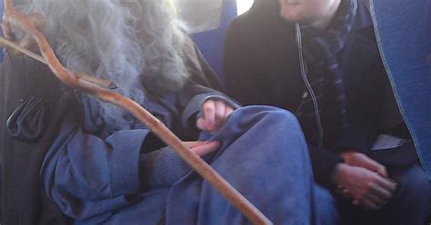Gandalf Chilling On The Bus Imgur