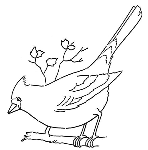 You can search over 6.000 coloring pages in this huge coloring collection that you can save or print for free. 6 Cardinal Images - Beautiful Birds! - The Graphics Fairy