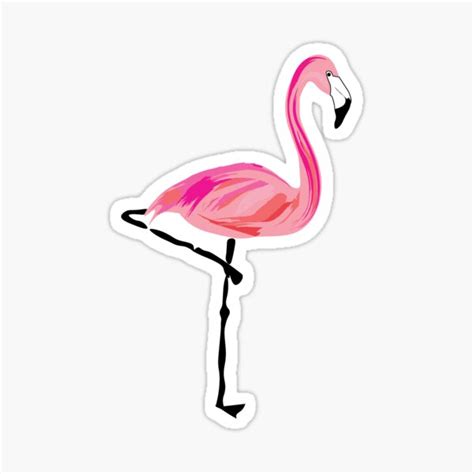 Flamingo Flamingo Sticker Flamingo Shirt Pink Flamingo Flamingo