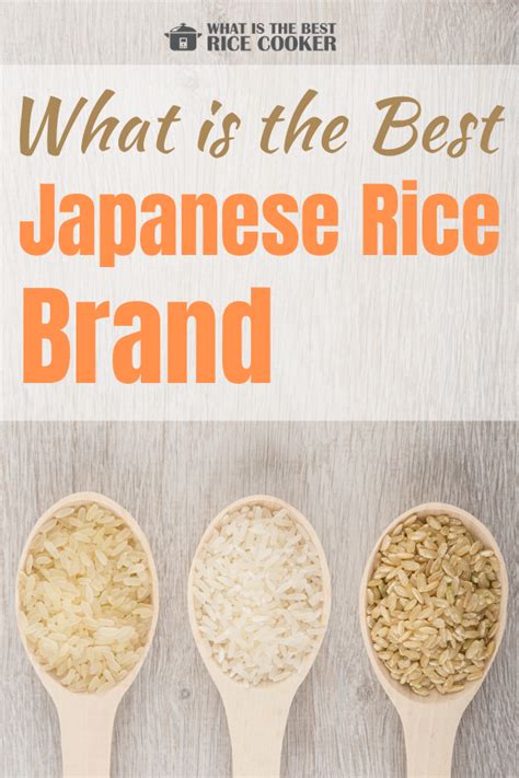 What Is The Best Japanese Rice Brand Top 3 Standout Brands Rice