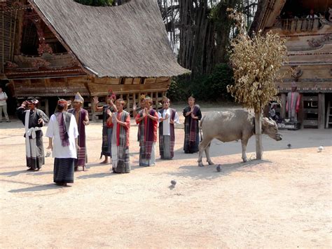 476 Samosir Samosir Tour Village Batak Traditionnel Samosir