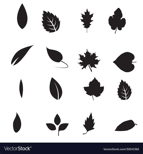 Vectors Of Leaves Free Vector Graphics Everypixel