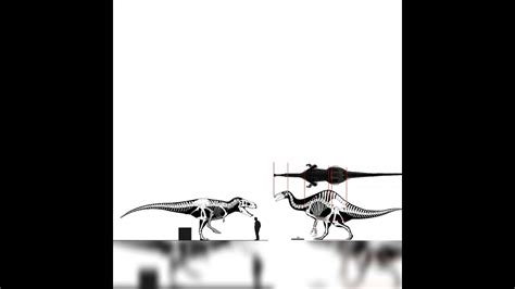 Tarbosaurus And Deinocheirus Size Comparison Youtube