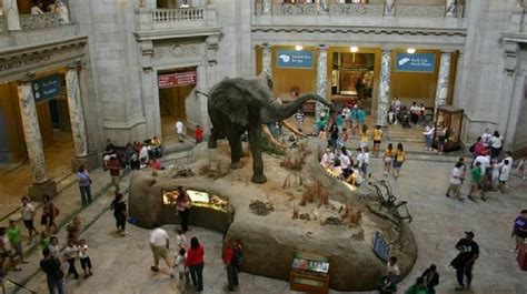 Smithsonian Creates Exhibit On Human Evolution For