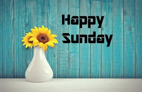 We did not find results for: Happy Sunday Good Morning Wishes Images, Quotes ...