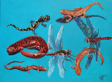 Salamanders And Dragonflies Painting By Inga Jurova Saatchi Art