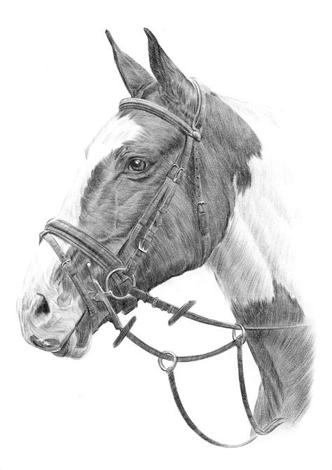 Horses, giraffes, zebra, lions, tigers & more canvas prints. Pin on art