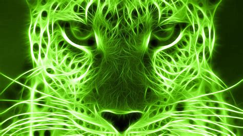 Neon Green Wallpapers Hd Wallpaper Cave