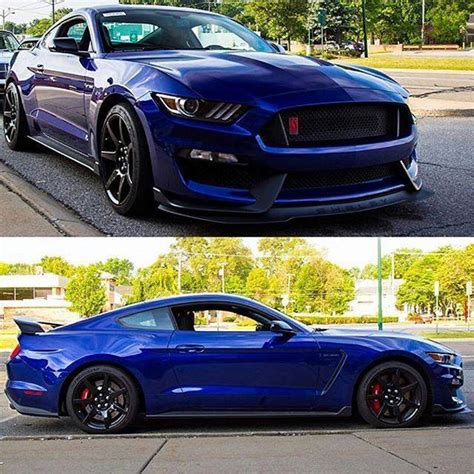 The 2015 Shelby Mustang Gt350r In Deep Impact Blue Photography