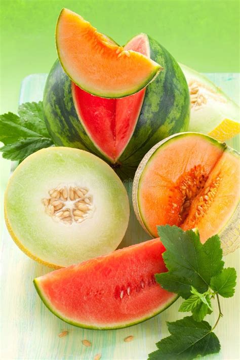 Melons And Watermelon Stock Image Image Of Fragrant 20162779