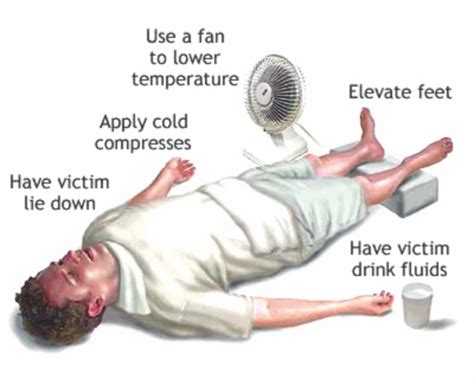 When this happens, the brain does not receive enough oxygen or nutrients, and. How to react in case of heat stroke - 1mhowto.com