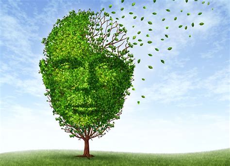 memory loss from alzheimer s reversed for first time with new approach psyblog