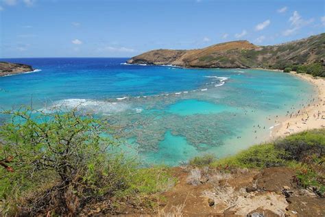 7 Best Places For Snorkeling In Oahu
