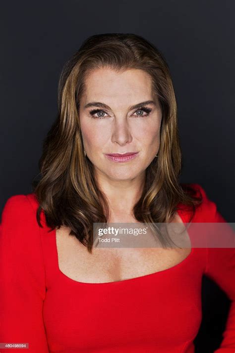 Actress Brooke Shields Is Photographed For Usa Today On November 14