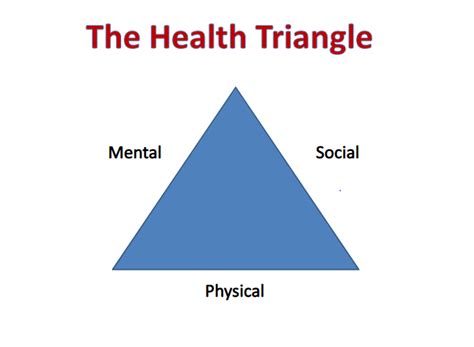 The Health Triangle Its Importance And All You Need To Know
