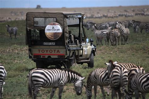 6 Amazing Reasons To Visit Tarangire National Park Explore Tanzania