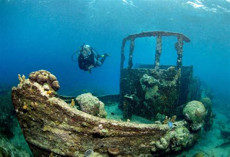 Review Of Curaçao Underwater Marine Park Afar