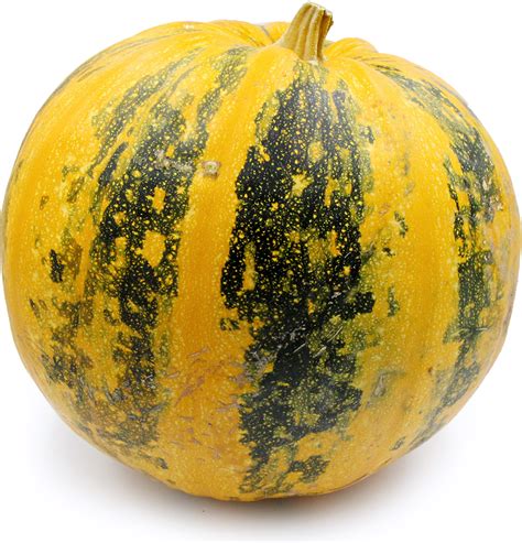 If there are unscheduled changes at a hydropower plant construction site, then quick action is required. Styrian Pumpkins Information and Facts | Pumpkin, Cottage ...