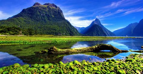 Milford Sound In New Zealand A Guide To This Wonder Of Nature