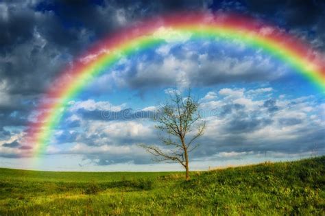 Rainbow Over The Field Stock Image Image Of Countrified 165750365