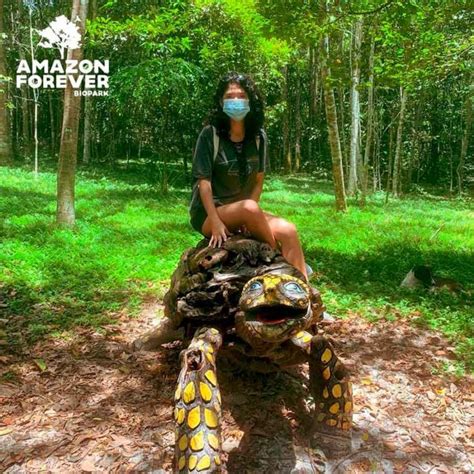 Amazon Forever Biopark Conexión Con La Naturaleza A Minutos De La
