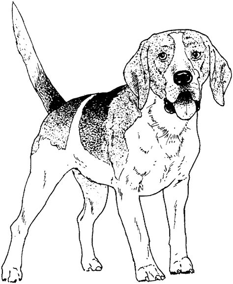 Printable Realistic Dog Coloring Pages