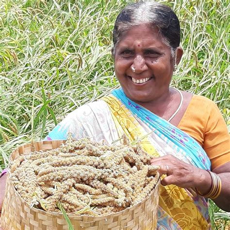 Andhra Pradesh Community Managed Natural Farming Guntur