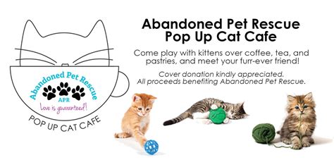 They suggested both a tail and leg amputation in the coming days. Pop Up Cat Cafe, Fort Lauderdale FL - Mar 3, 2019 - 12:00 PM