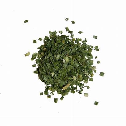 Herb Chives Herbs Transparent Spices Resolution Seasonings