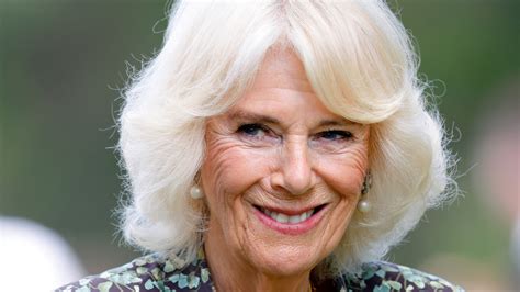 How Queen Camilla Can Elevate Her Signature Style According To An Expert The List Trendradars
