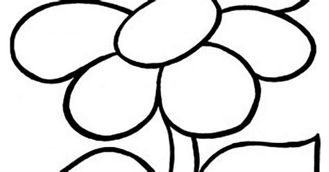 Untuk pembuatan gambar sketsa bunga matahari untuk tahap awal yang perlu kita lakukan adalah dengan cara cara membuat sketsa bunga anggrek. 35+ Gambar Bunga Anggrek Untuk Mewarnai - GAMBAR MEWARNAI HD