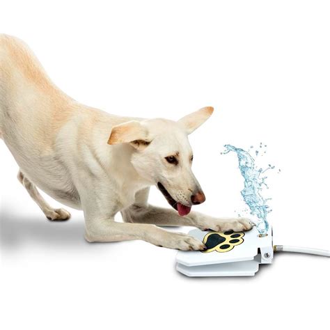 Happy Dog Pet Water Fountain Upgraded Outdoor Step On Doggie Fountain