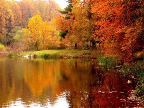 11 Places To See Amazing Changing Leaves During Fall In Kansas