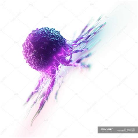 Abstract Purple Colored Cancer Cell On White Background Digital