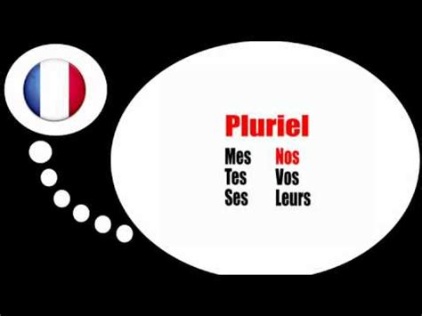 Lezione Di Francese Plurale Aggettivi Possessivi Youtube