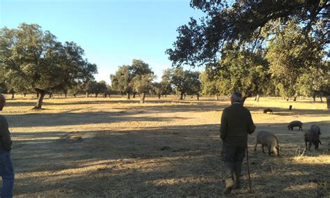 Das finca hotel ist guter ausgangspunkt um die schönen buchten und langen strände im osten zu besuchen, der. Finca El Encinar-Portezuelo - Biodehesa