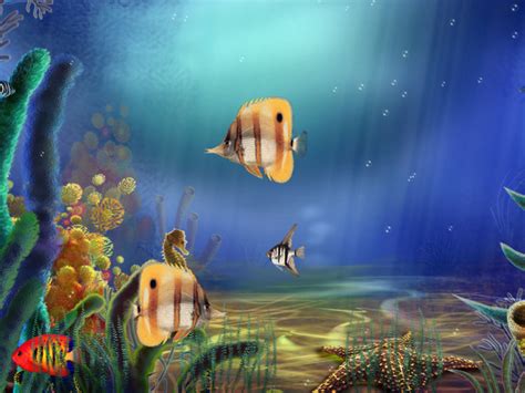 Animated Aquarium Animated Aquarium Screensaver