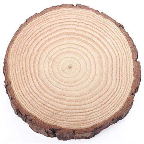 Hanben Natural Wood Slices Round Pinewood Slabs To Inch Rustic