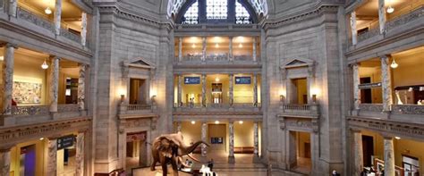 Visiting The National Museum Of Natural History Washington Dc