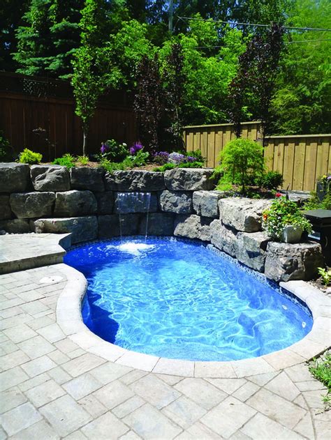 20 Top Natural Small Pool Design Ideas To Copy Asap Small Inground