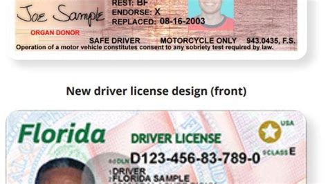 Florida Drivers License Renewal Renewbad