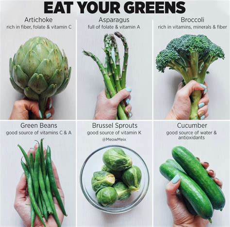Why You Should Eat A Wide Variety Of Green Vegetables Meowmeix