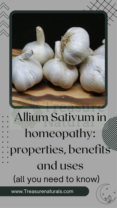 Allium Sativum In Homeopathy Properties Benefits And Uses All You
